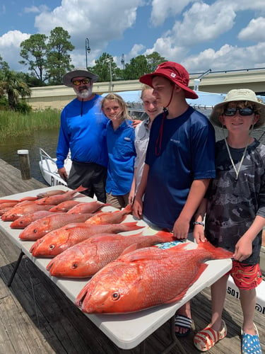 3/4 Day Offshore/bay In Pensacola