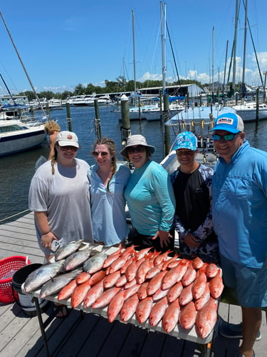 3/4 Day Offshore/bay In Pensacola