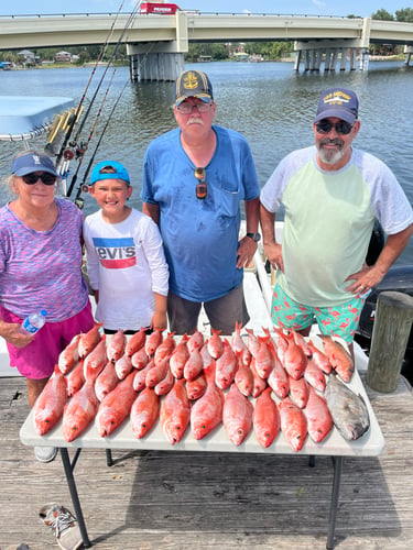 3/4 Day Offshore/bay In Pensacola