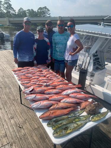 3/4 Day Offshore/bay In Pensacola