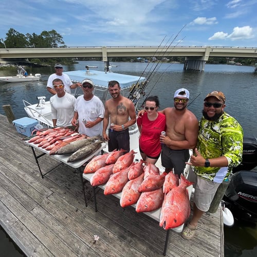 3/4 Day Offshore/bay In Pensacola