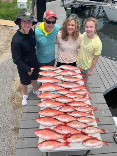 3/4 Day Offshore/bay In Pensacola