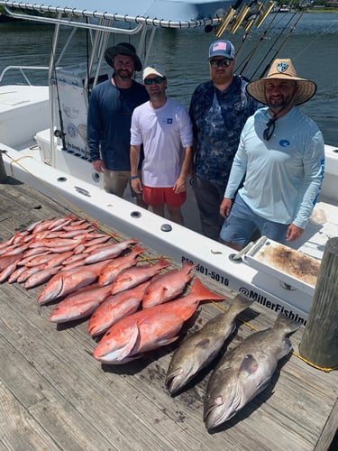 3/4 Day Offshore/bay In Pensacola