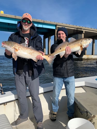 Half Day Bay/Nearshore In Pensacola