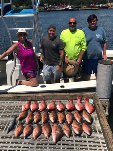 Half Day Bay/Nearshore In Pensacola