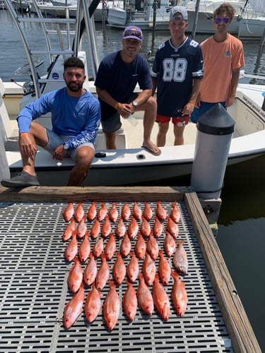 Half Day Bay/Nearshore In Pensacola