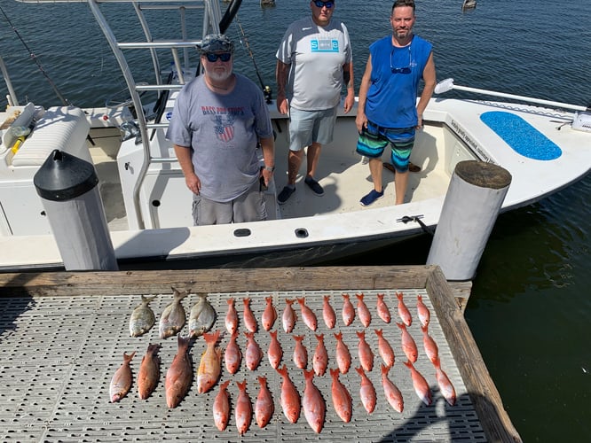 Half Day Bay/Nearshore In Pensacola