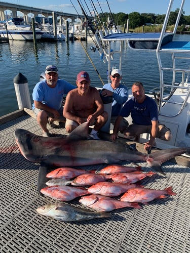 Half Day Bay/Nearshore In Pensacola