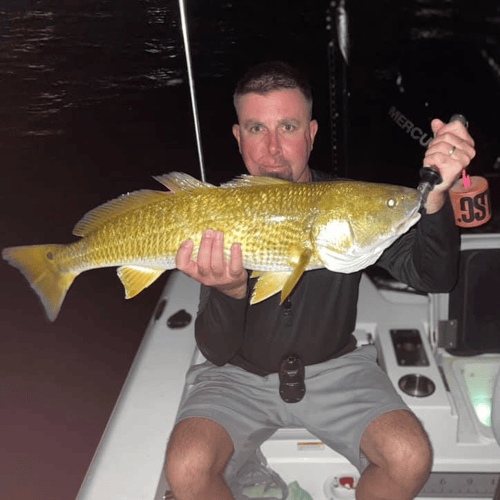 Galveston Bay Night Fishing In Galveston