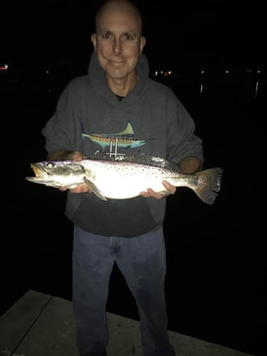 Galveston Bay Night Fishing In Galveston