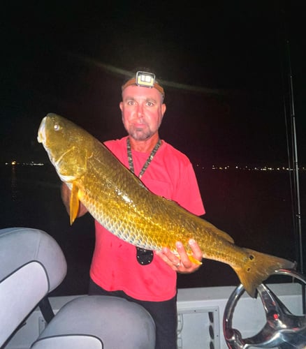 Galveston Bay Night Fishing In Galveston