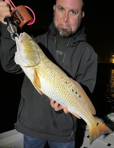 Galveston Bay Night Fishing In Galveston