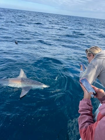 Nearshore/Offshore Combo In Destin