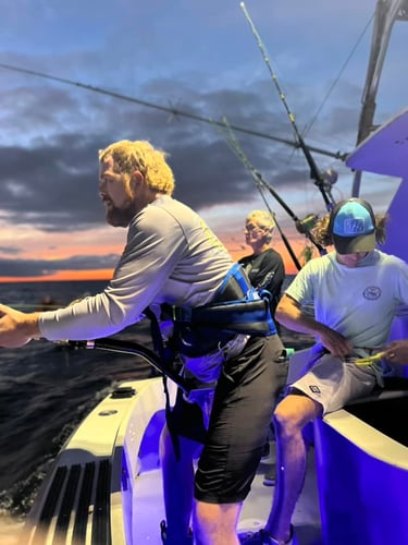 Action-Packed Shark Chase In Destin