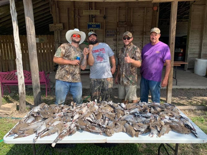 South Texas Doves and White Wings