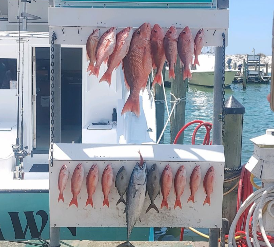 Destin Trolling And Bottom Fishing In Destin