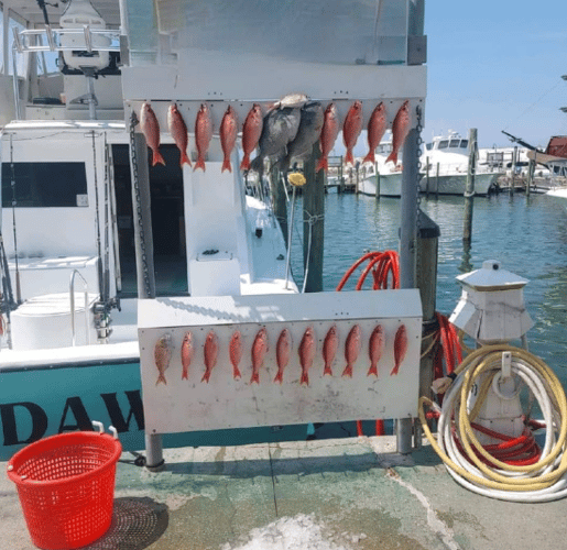 Destin Trolling And Bottom Fishing In Destin