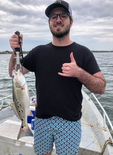Calaveras Lake Freshwater Reds in San Antonio