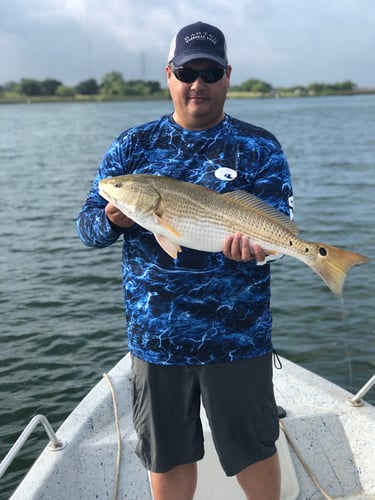 Calaveras Lake Freshwater Reds in San Antonio