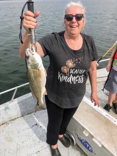 Calaveras Lake Freshwater Reds In San Antonio