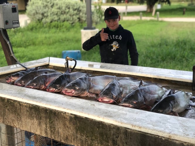 Calaveras Lake Freshwater Reds in San Antonio