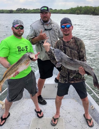 Calaveras Lake Freshwater Reds in San Antonio