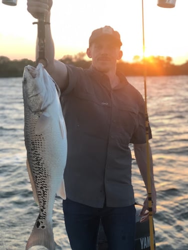 Calaveras Lake Freshwater Reds in San Antonio