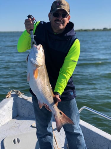 Calaveras Lake Freshwater Reds in San Antonio