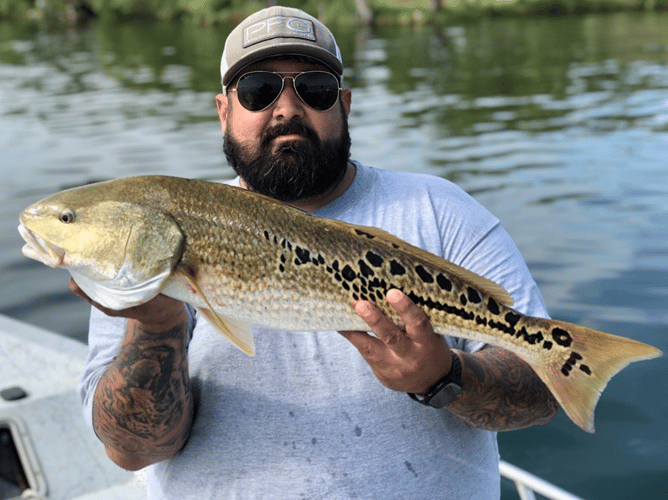 Calaveras Lake Freshwater Reds in San Antonio
