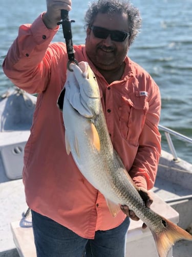 Calaveras Lake Freshwater Reds in San Antonio
