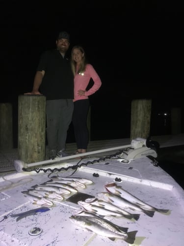 Moonlit Reels: Night Fishing Trip In Orange Beach