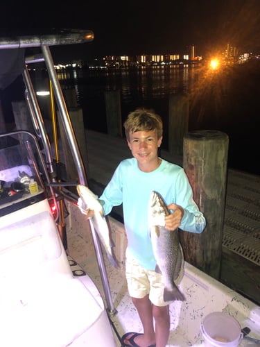 Moonlit Reels: Night Fishing Trip In Orange Beach