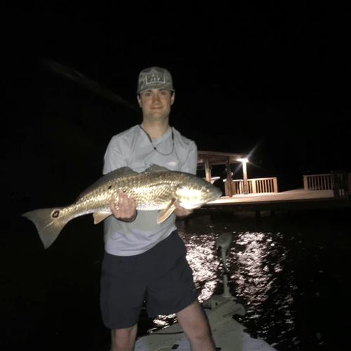 Moonlit Reels: Night Fishing Trip In Orange Beach