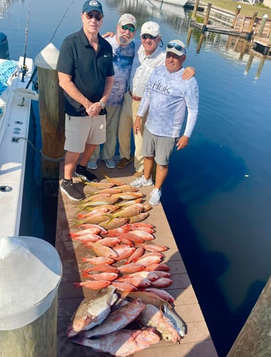 Grouper/Snapper 40mi+ In Cape Coral