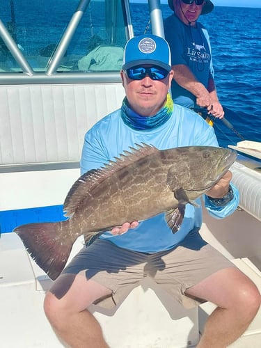 Grouper/Snapper 40mi+ In Bokeelia