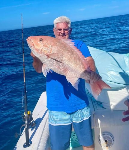 Grouper/Snapper 40mi+ In Bokeelia