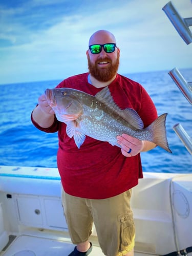 Grouper/Snapper 40mi+ In Cape Coral