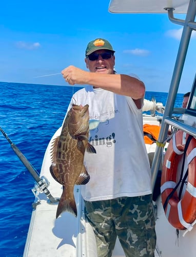 Grouper/Snapper 40mi+ In Bokeelia