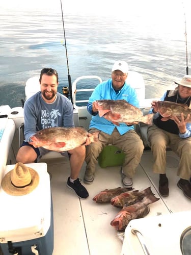 Grouper/Snapper 40mi+ In Cape Coral