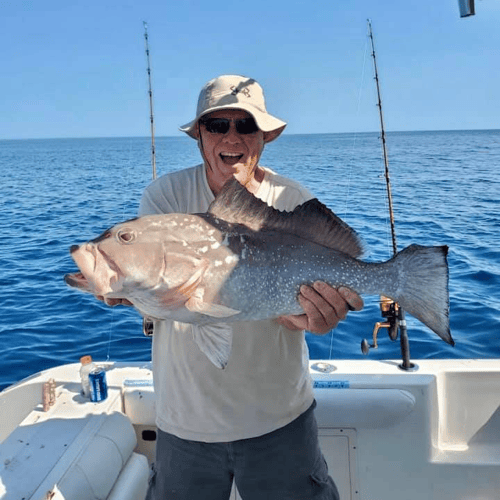 Grouper/Snapper 40mi+ In Cape Coral