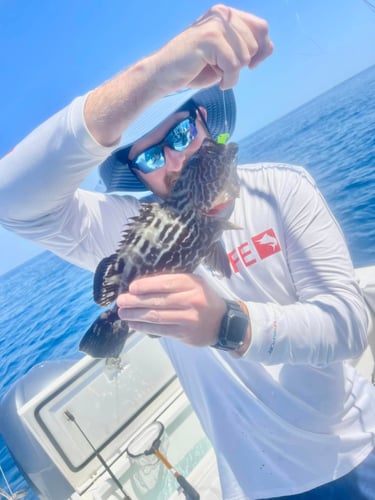 Grouper/Snapper 40mi+ In Bokeelia