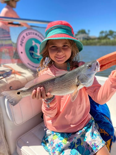 Low Country Inshore In Hilton Head Island