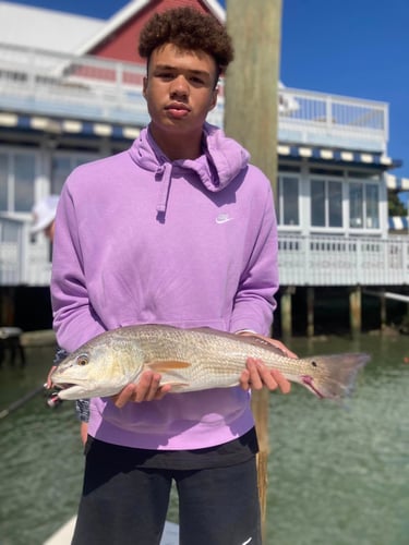 Low Country Inshore In Hilton Head Island