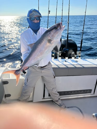 Deep Sea Fishing Frenzy In Freeport