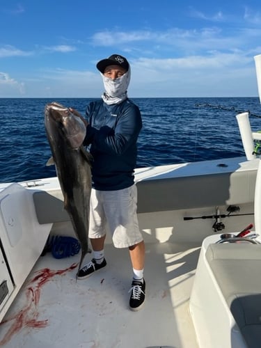 Deep Sea Fishing Frenzy In Freeport