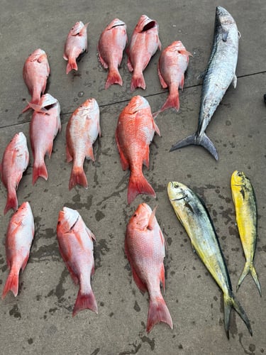 Deep Sea Fishing Frenzy In Freeport