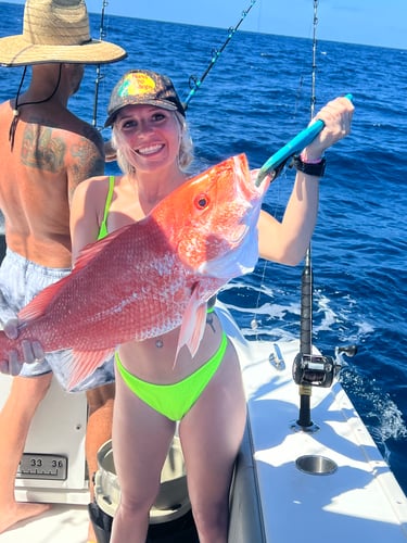 Deep Sea Fishing Frenzy In Freeport