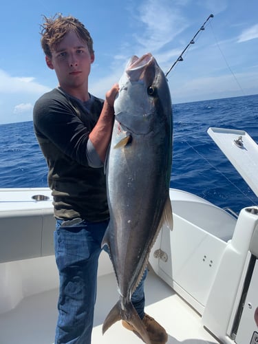 Deep Sea Fishing Frenzy In Freeport