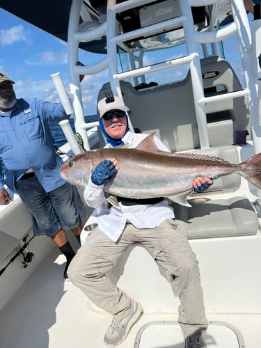 Deep Sea Fishing Frenzy In Freeport