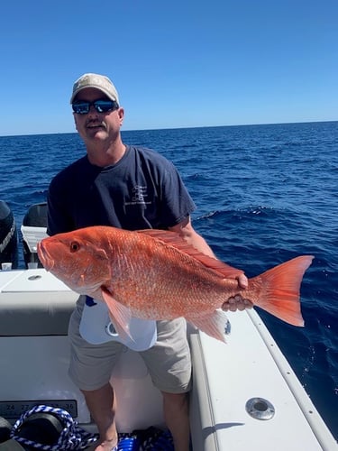 Deep Sea Fishing Frenzy In Freeport